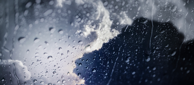 What HR should know about Storm Dudley
