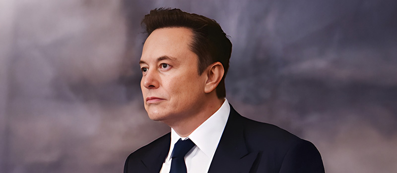 Elon Musk says AI could make jobs and careers 'optional'