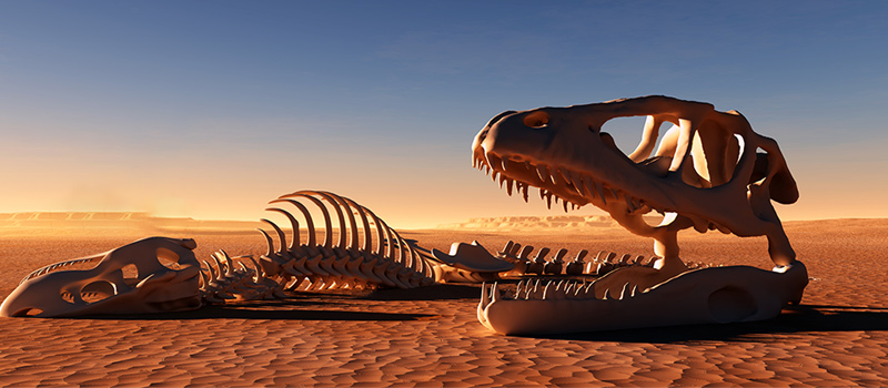 Are L&D teams at risk of extinction?