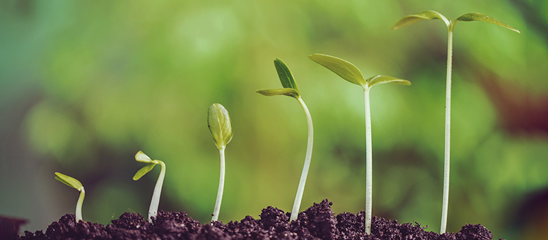 Opportunities for growth through effective Workforce Management