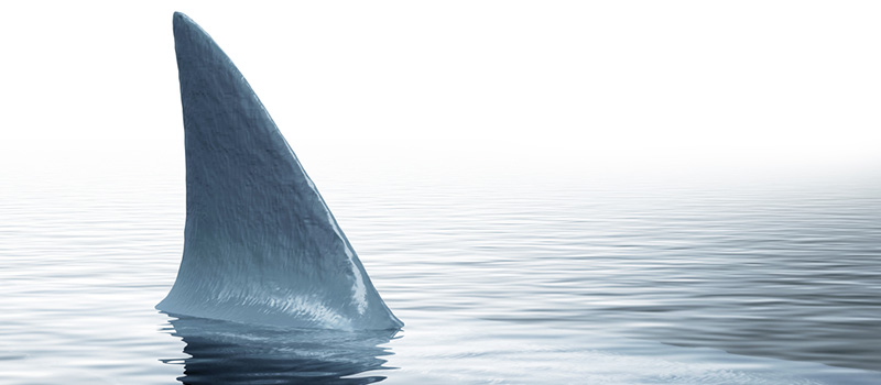 From the jaws of defeat: How to restore credibility in leadership