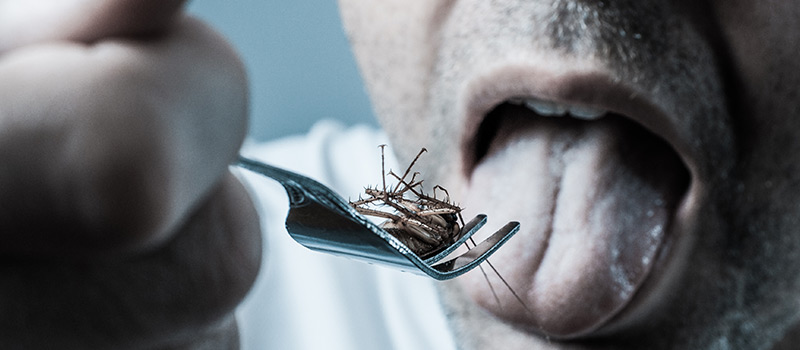 Under-performing employees forced to eat bugs and drink 'urine'