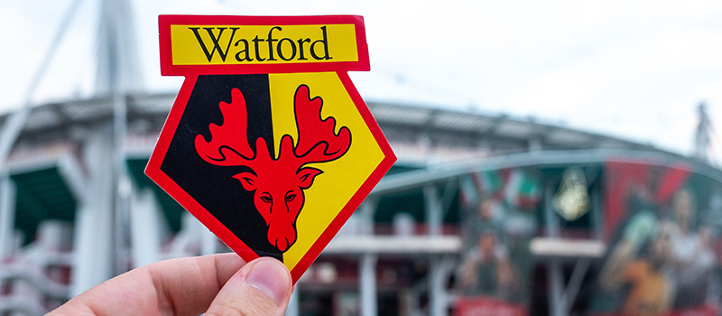 Watford football club logo sticker