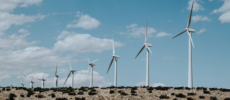 Wind farm operator Orsted cutting 2000 jobs after Trump nixes projects