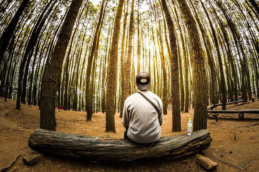 How sustainability builds employee engagement