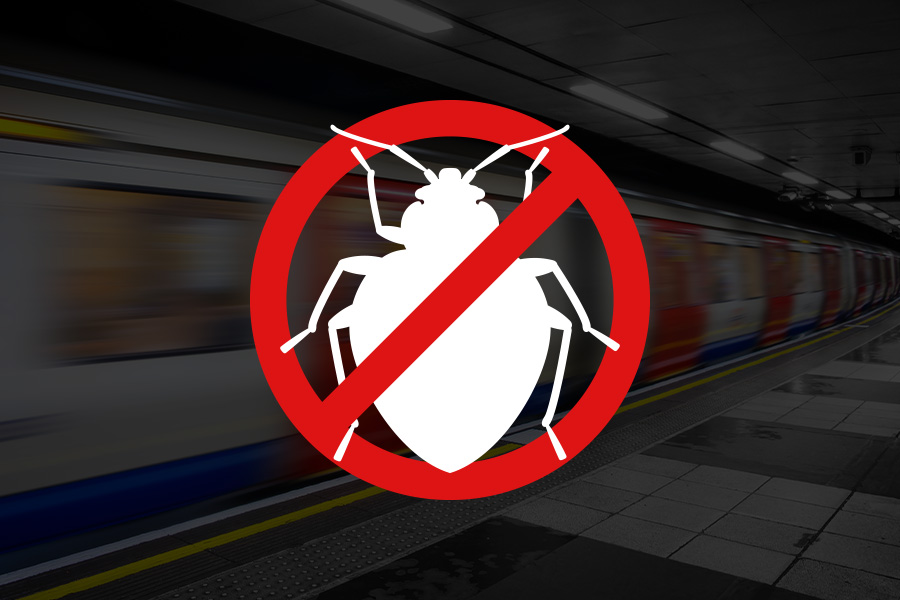 Bedbugs are taking over the tube, how should HR manage the threat in the office?