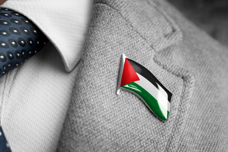 Palestinian flag pin on suit