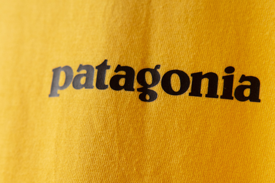 Patagonia 'rode the subway' with employees to find out why they weren't happy - HR chief