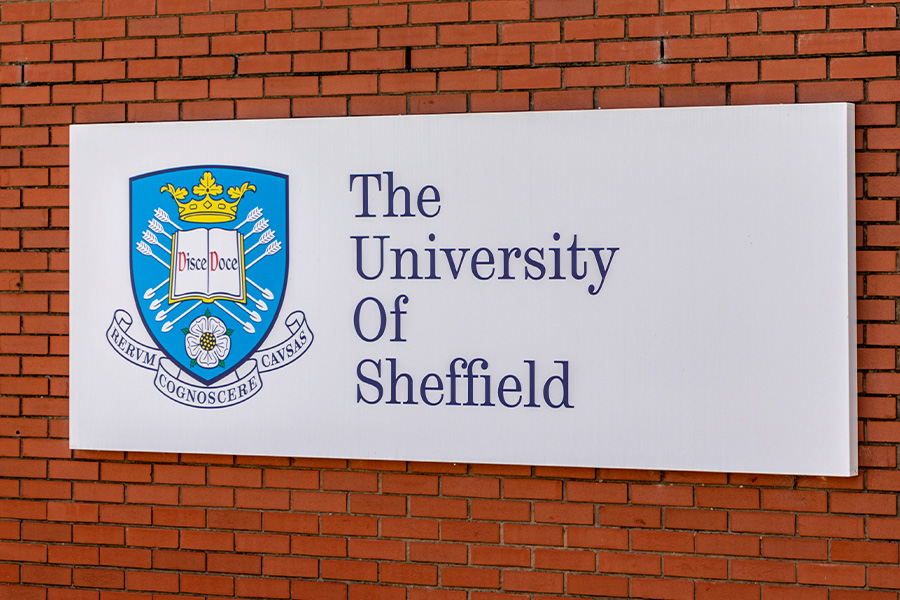 University of Sheffield staff speak out against alleged workplace racism
