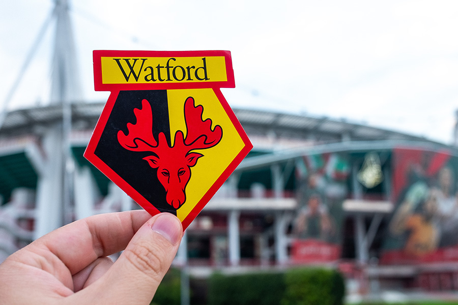Watford FC diversity officer's racist assault - why DEI can't just be a day job Watford football club logo sticker