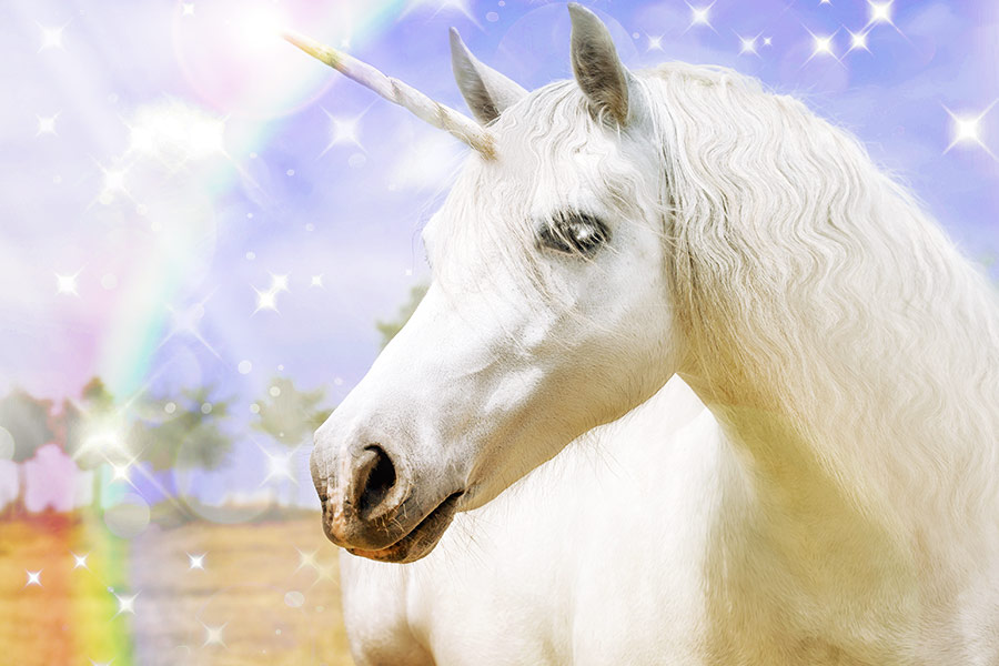 Top 5 Unicorns to look out for in 2017 | Resilience | Executive Grapevine