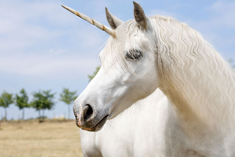 Londoners can catch a unicorn to work this week