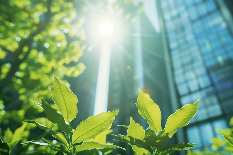 4 CSR & employee engagement trends every HR leader should know