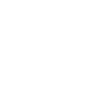 Visier